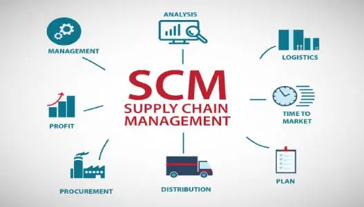 Supply Chain Management (3PL) Icon