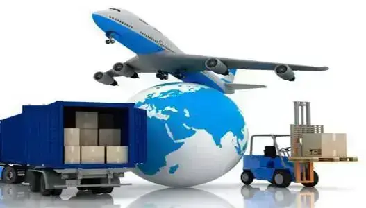 Domestic & International courier Service Icon
